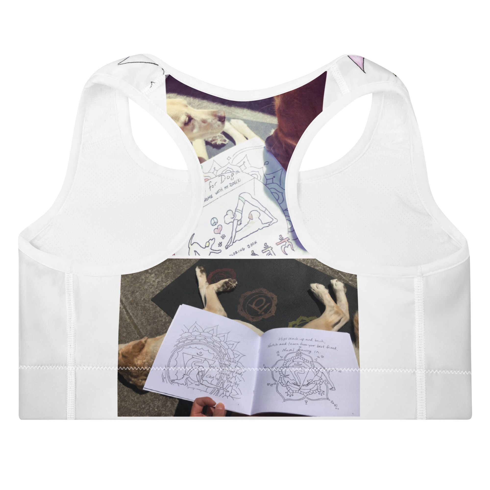 padded sports bra | Haikus for Doga