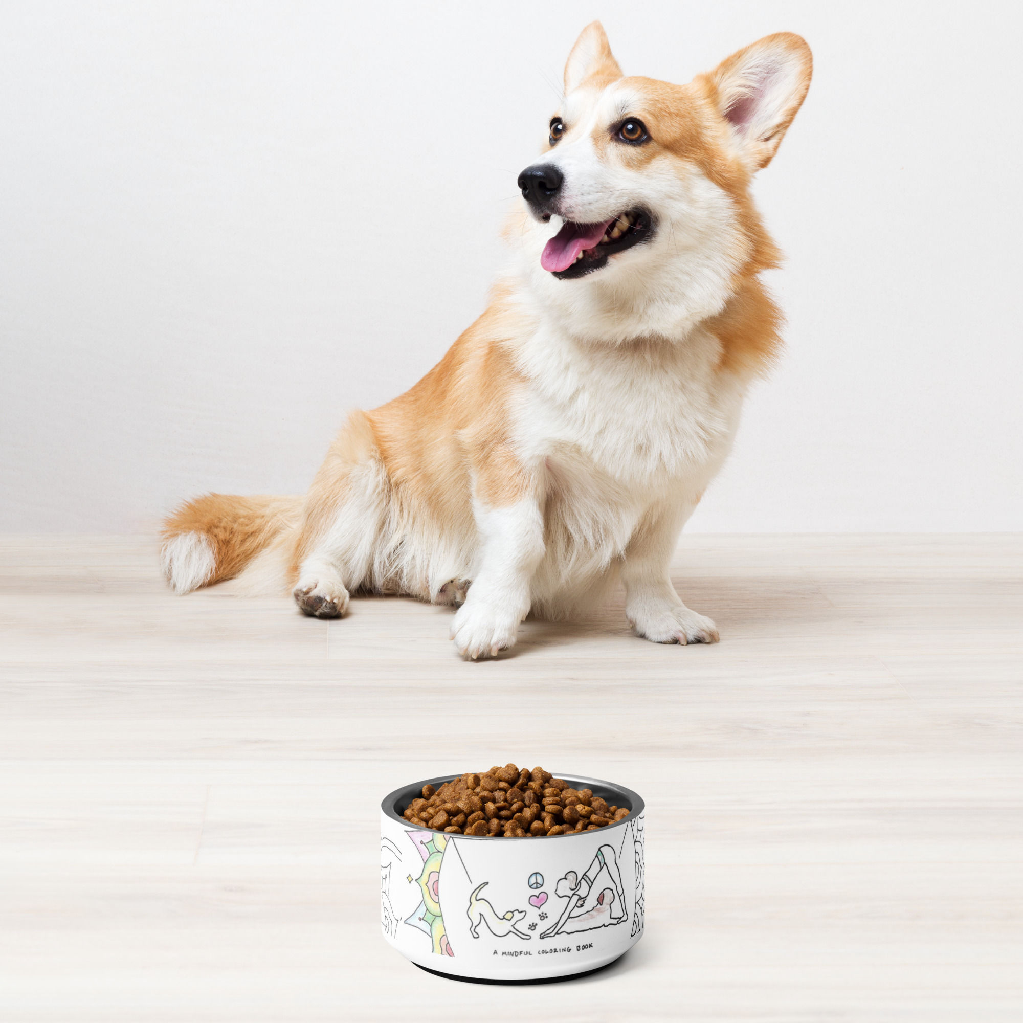 pet bowl | Haikus for Doga