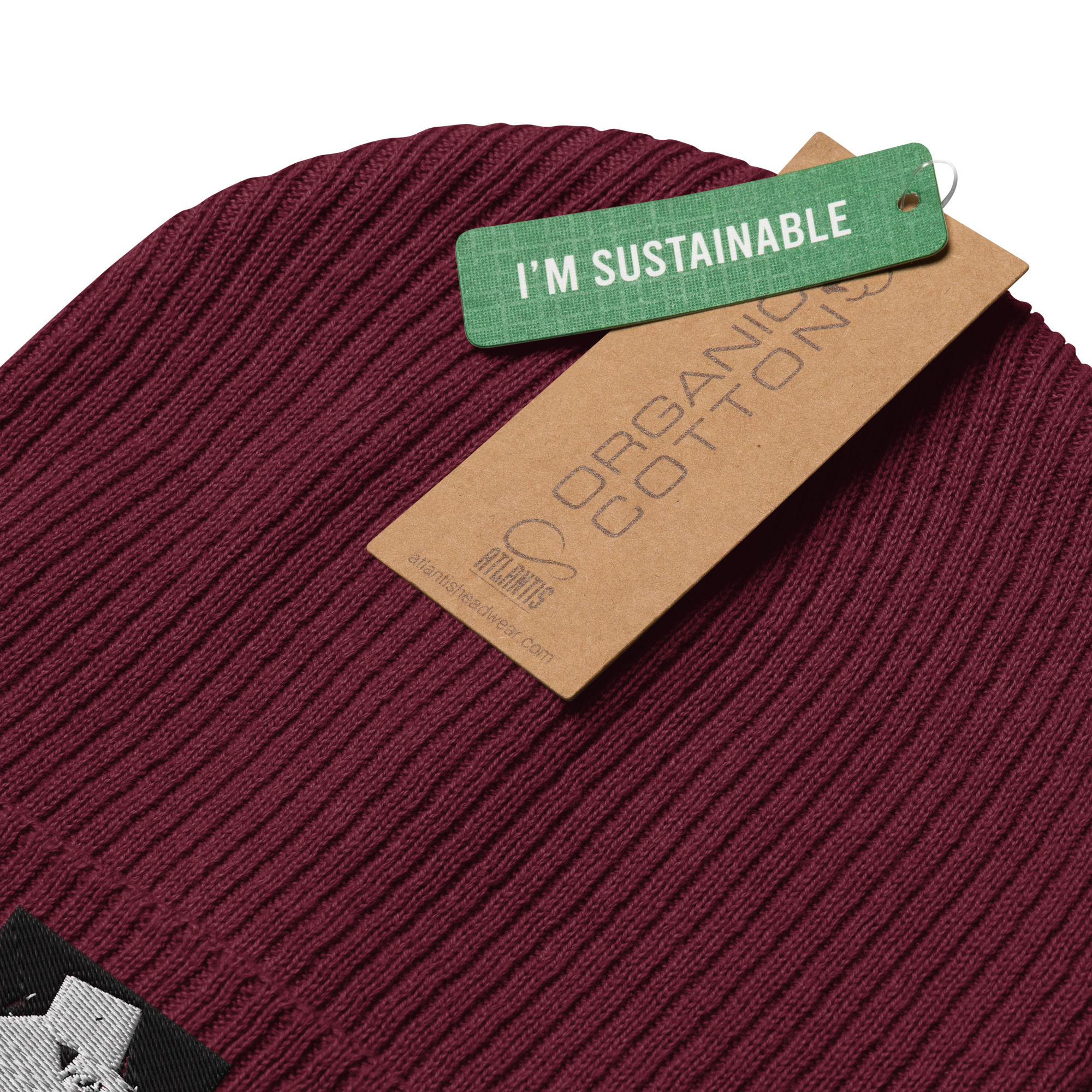 organic ribbed beanie