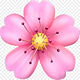 flor.jpg