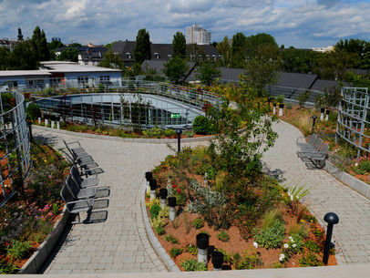 Seniorengarten in Frankfurt mit intensiver Dachbegrünung und unterschiedlichen Sitzmöglichkeiten durch Gartenbau