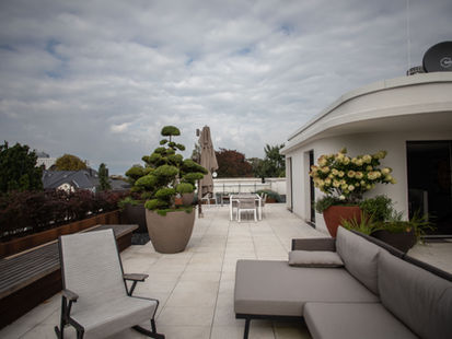 Sitzbank und Lounge mit Bonsais in Kübeln auf Dachterrasse Frankfurt von Gärtnern gebaut