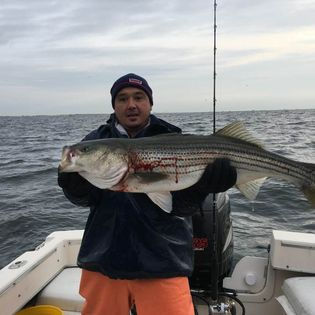 24176873_10211589685430152_352631008655574627_n