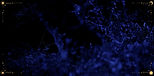 Website Banner_edited.jpg