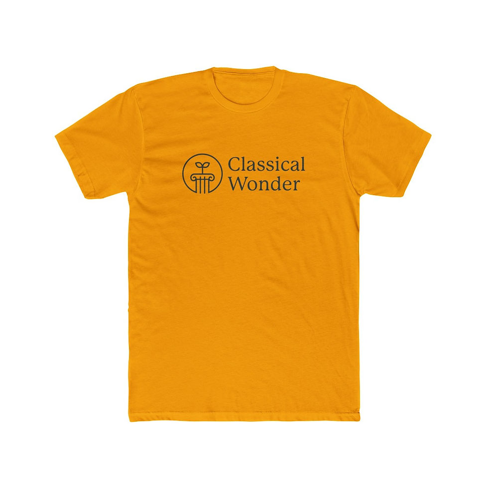 Thumbnail: Classical Wonder Men's T-shirt