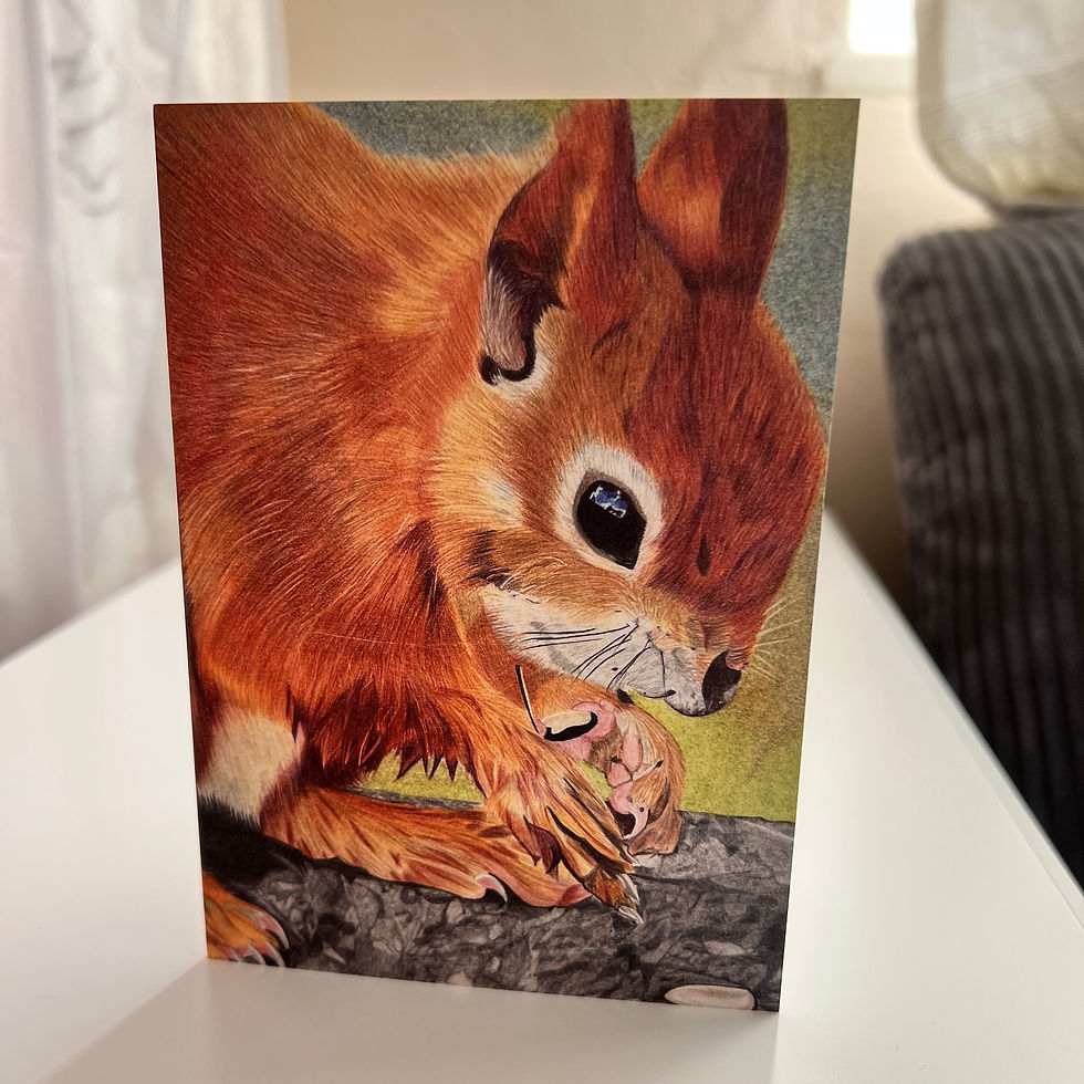 Thumbnail: Red Squirrel A6 Greeting Card, Hand Drawn Coloured Pencil Print.