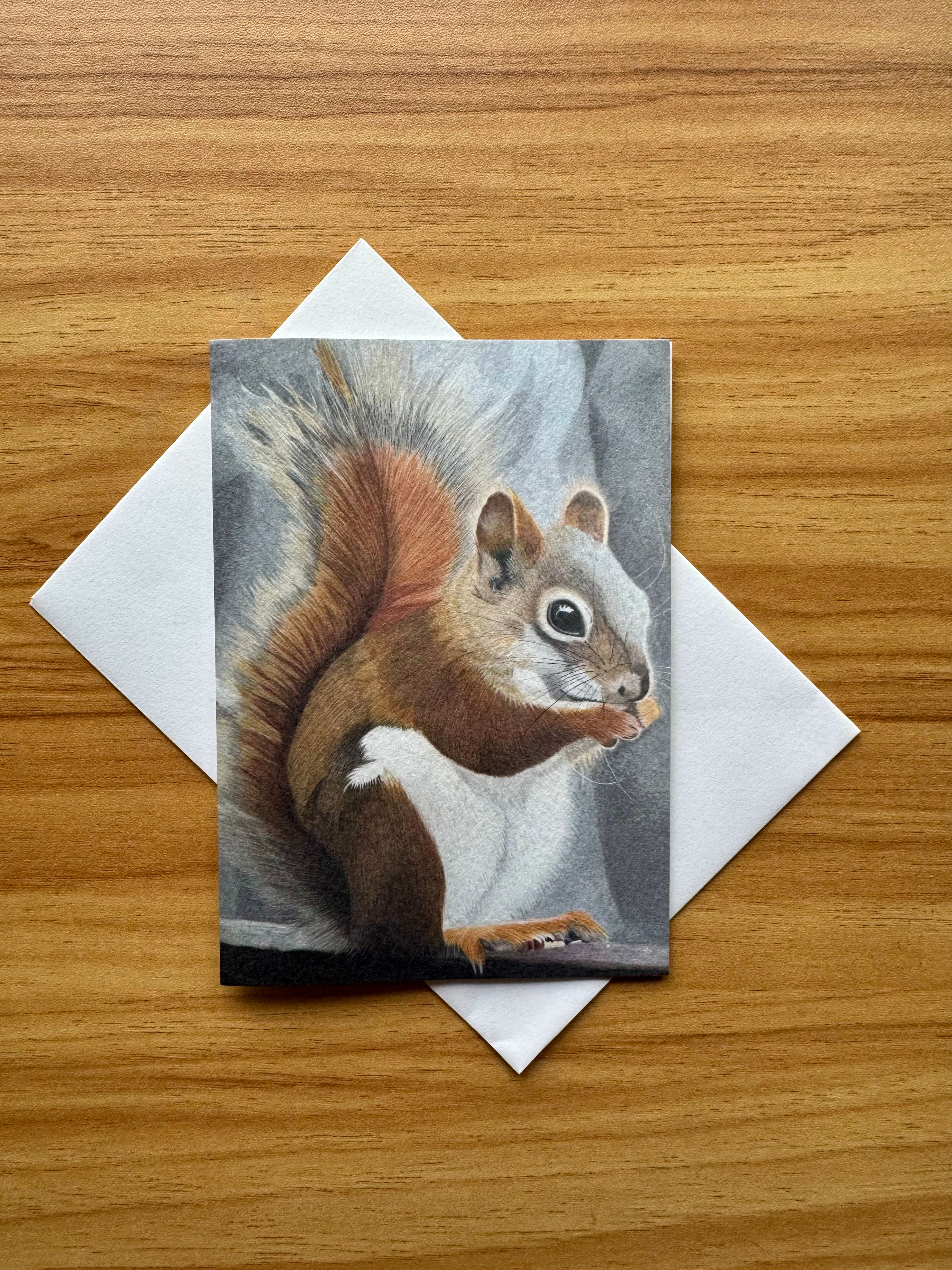 Squirrel A6 Greeting Card, Hand Drawn Coloured Pencil Print.