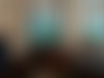 The Lincoln-Douglas Society: Who Are We?