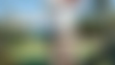 2026 PGA TOUR Season