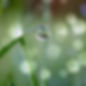 iStock-1200927451.jpg