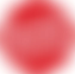 The Beginning of Reality TV