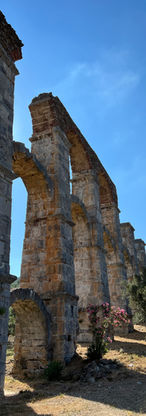 IMG_1335.jpeg