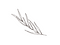 Carroussel site web (6).png