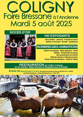 Foire Bressane Coligny.jpg