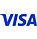 visa logo.jpeg