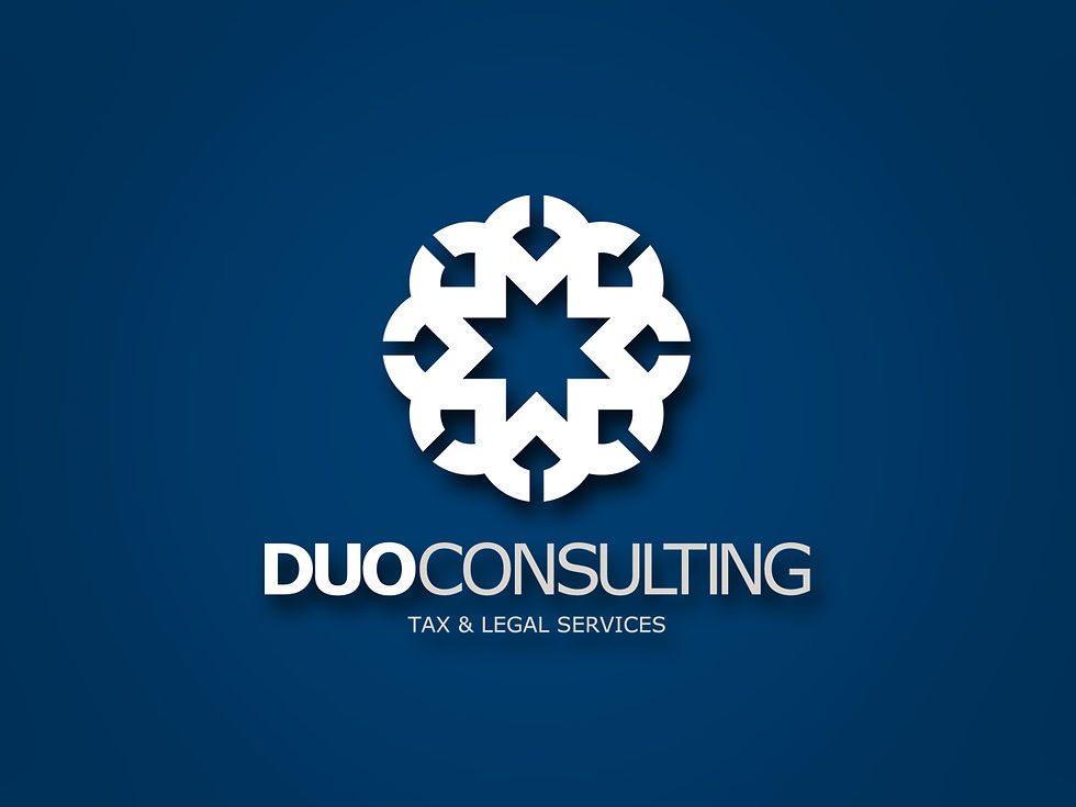 Duo Consulting Logo