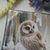 Thumbnail: "Mountain Owl & Owlet"