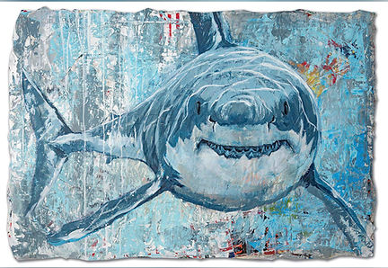 2021_33 – Weißer Hai.jpg