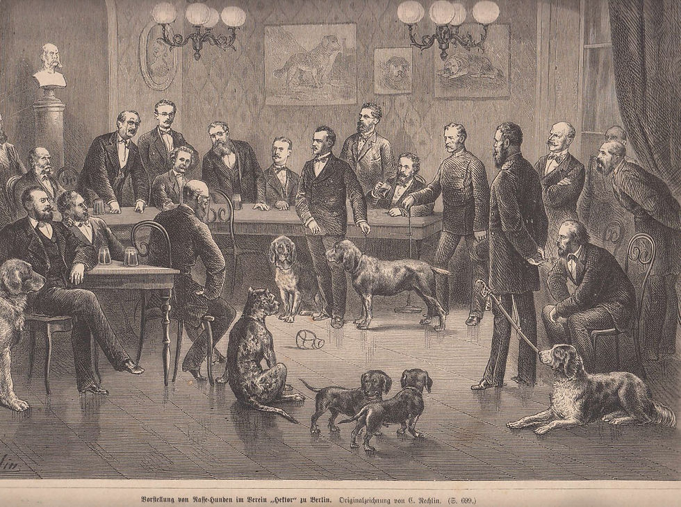 Vorstellung von Rassehunden im Verein "Hektor" in Berlin. Ansicht während der Vorführung. (1878)