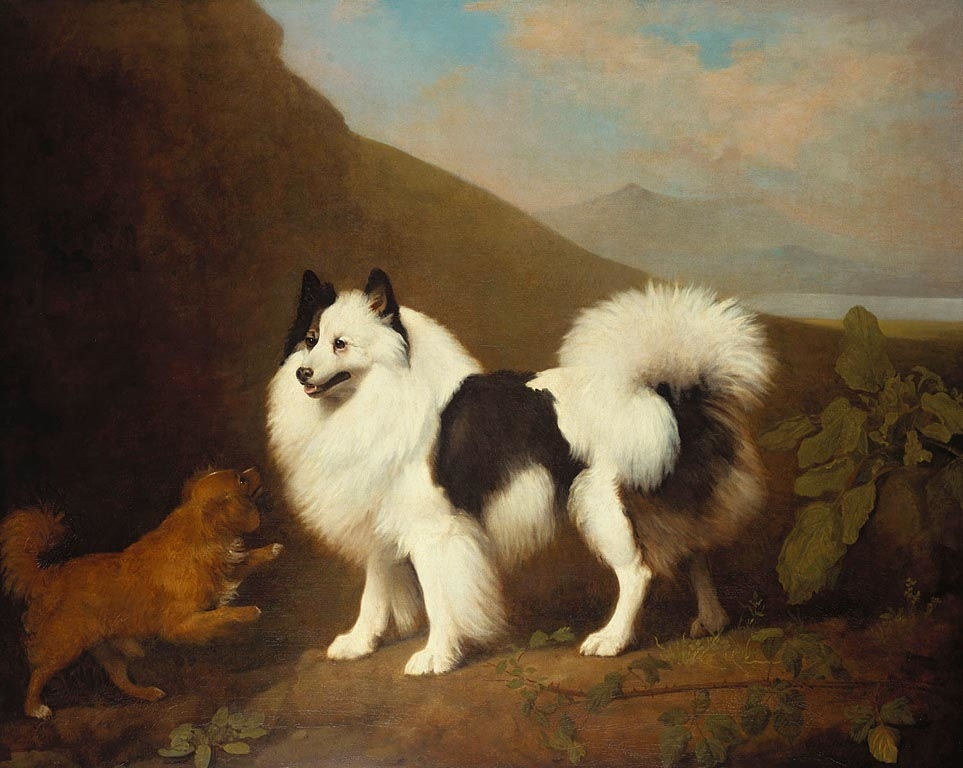 Gescheckter Großspitz Gemälde