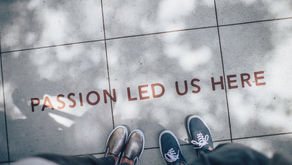 Why you should launch a Brand and not just a Product