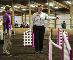 Lori Sage, of Oregon City, Ore., one of two judges at the inaugural The Masters Agility Championship at Westminster in New York City Feb. 8, briefs Desiree Snelleman, of Sumner, on the rules before she and Pace, a border collie, begin a competition run at a December trial in Auburn. Pace won the 2013 American Kennel Club National Agility Championship at the 26-inch division. 