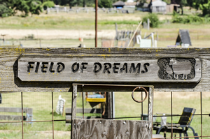This sign says it all for virtually every visiting owner and dog.