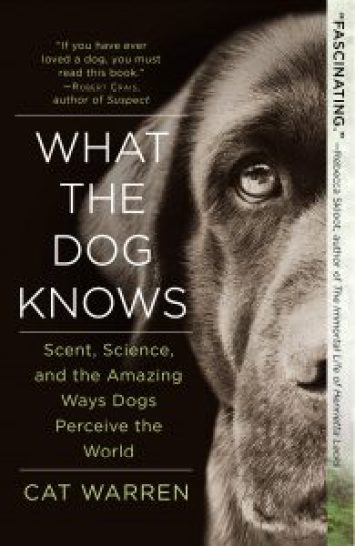 paperbackcover