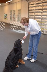 Here she instructs Anja to hold a dumbbell until Timbers asks for it.