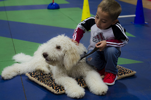 It’s time for some hands-on bonding between Luke and Snoopy during a class break at Pawsabilities.