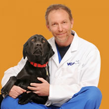 Dr. James Gaynor, of Frisco, Colo., is recognized as one of the top authorities of veterinary pain management worldwide.