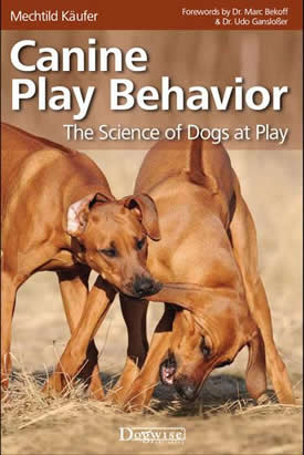 Canine Play Behavior