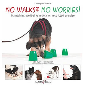 No Walks No Worries