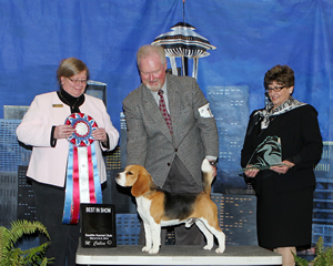 Handler Mike Kurtzner, of Sacramento, Calif., and JJ, a 15-inch beagle named after NASCAR racer Jimmy Johnson, took best-in-show honors Saturday at the Seattle Kennel Club Dog Show. They are flanked by judge Dr. Karen Ericson, of Carnation, left, and Julie Hamasaki, of the Seattle Kennel Club. 