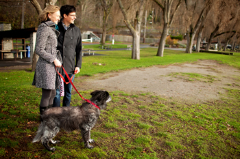 Kate and Matt Herz enjoy a walk in the park with Jackson, their beloved 10-year-old border collie mix