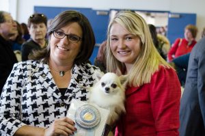 Calvin won Select Dog in Chihuahua breed competition at Westminster this year.