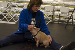 Here Stock works very patiently on the challenging sit positioning with Amy.
