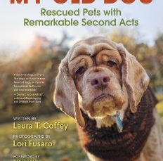 “My Old Dog: Rescued Pets with Remarkable Second Acts”
