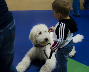 Luke Gonzalez, 9, puts Snoopy, his Labradoodle service dog, on a down stay during a class at Pawsabilities in Fife.