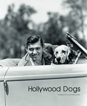 HollywoodDogsCover