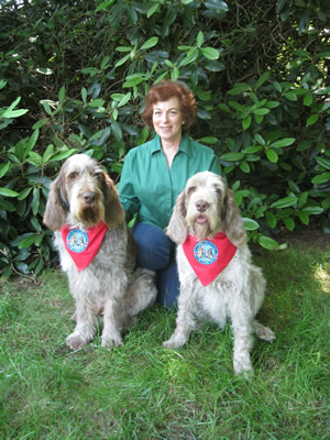 Lauren Friedman, of Milford, Conn., takes a break with her two Spinone Italiano therapy dogs, Drago, left, and Siena. Drago was recently named winner of a coveted American Kennel Club Humane Fund Award for Canine Excellence (ACE) in the Therapy Dog category, for his work in Newtown’s Reed Intermediate School after last December’s shootings.
