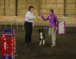 Following a run, Sage congratulates Snelleman on a job well done. 