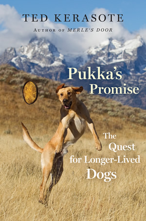 Pukkas Promise