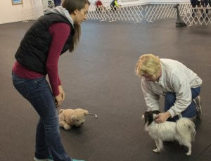 Whether it’s a two-legged or four-legged class room, these two teachers find many principles overlap