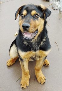 Rudy(8)
