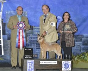 2015 Best In Show Day 1