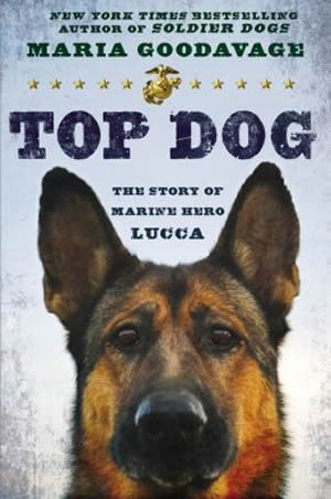 Top DogA