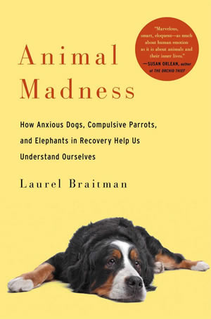 ANIMAL MADNESS jacket