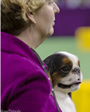 Westminster Photo Essay-4