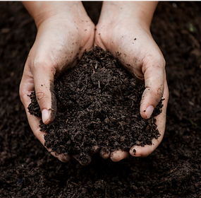 What Page Icon #2_For Practitioner.png